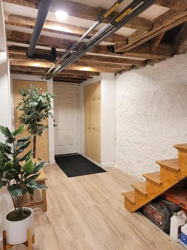 Cozy, Large And Fully Furnished - Near The L Train Apartment New York